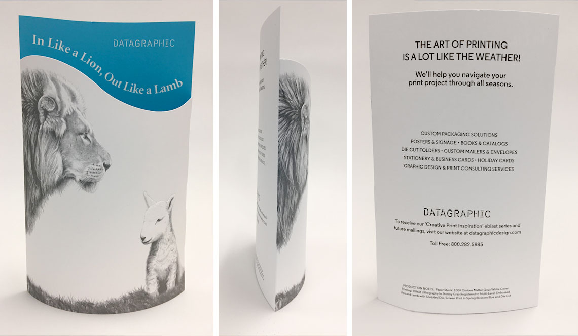 DataGraphic Lion and Lamb Direct Mailer